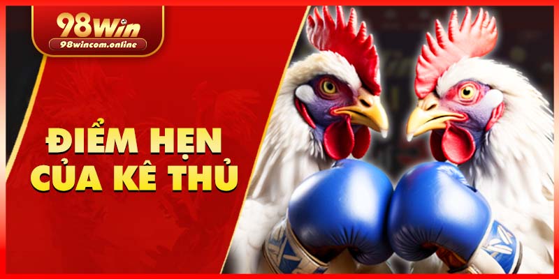 Đá gà tại 98WIN là sảnh chơi uy tín, đa dạng các trận đấu