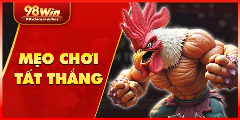 Khi bắt kèo hãy tham khảo thông tin về các chiến kê